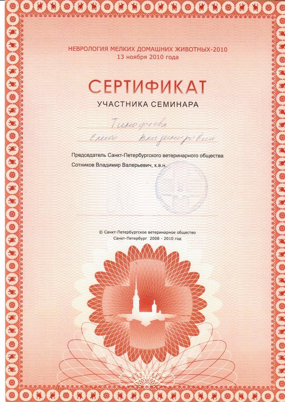 Документ или сертификат