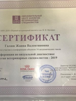 Фото врача Галаш Жанна Валентиновна