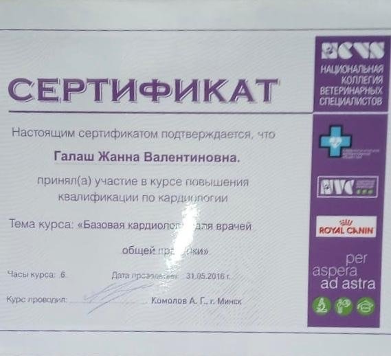 Документ или сертификат