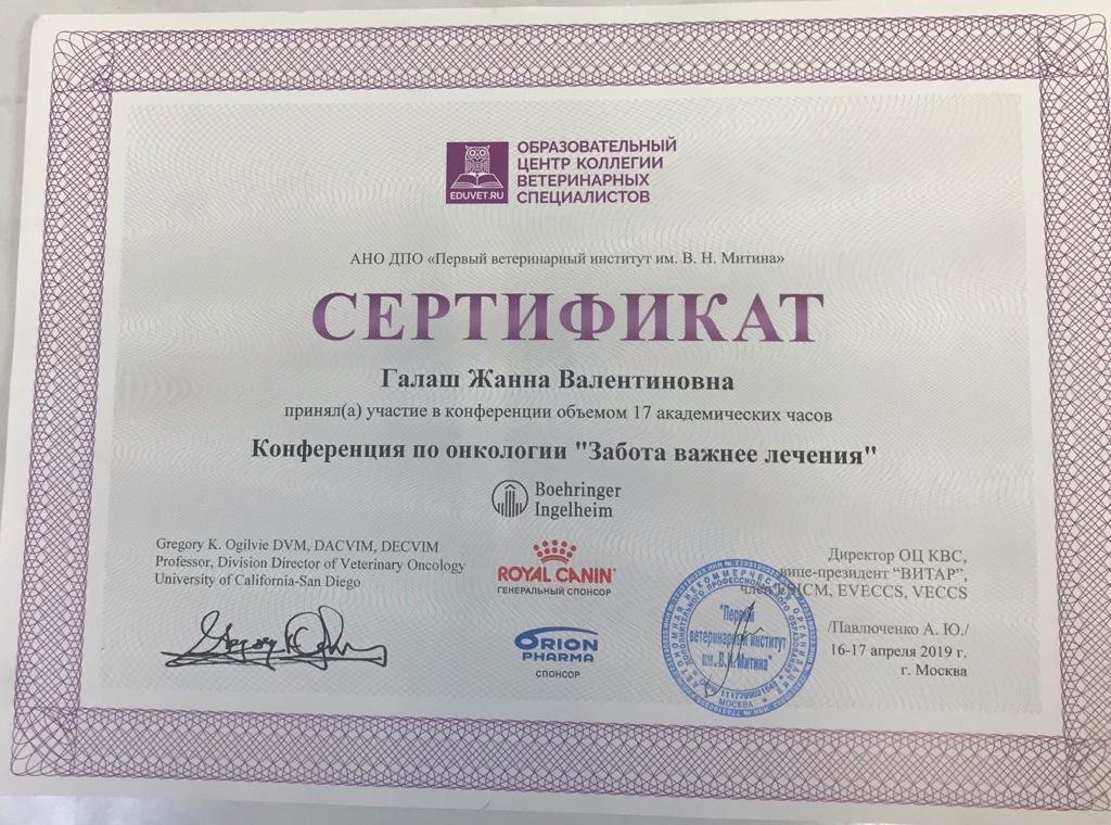 Документ или сертификат