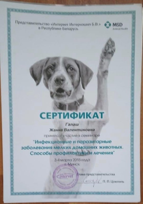 Документ или сертификат