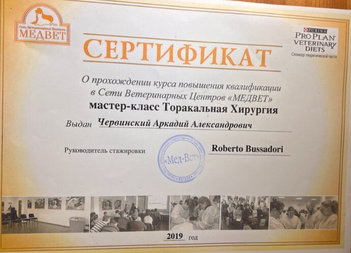 Документ или сертификат