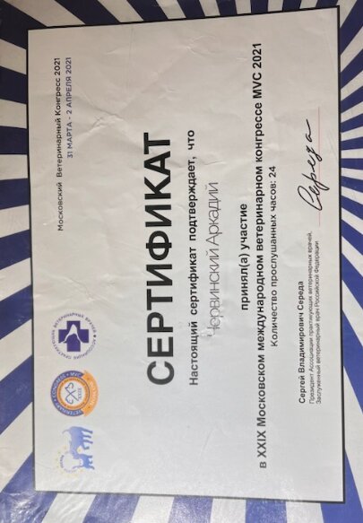 Документ или сертификат