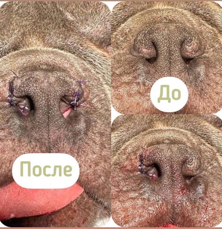 Фото врача