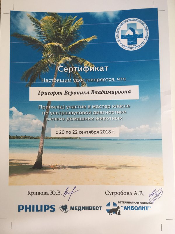 Документ или сертификат