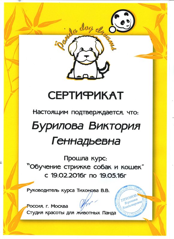 Документ или сертификат