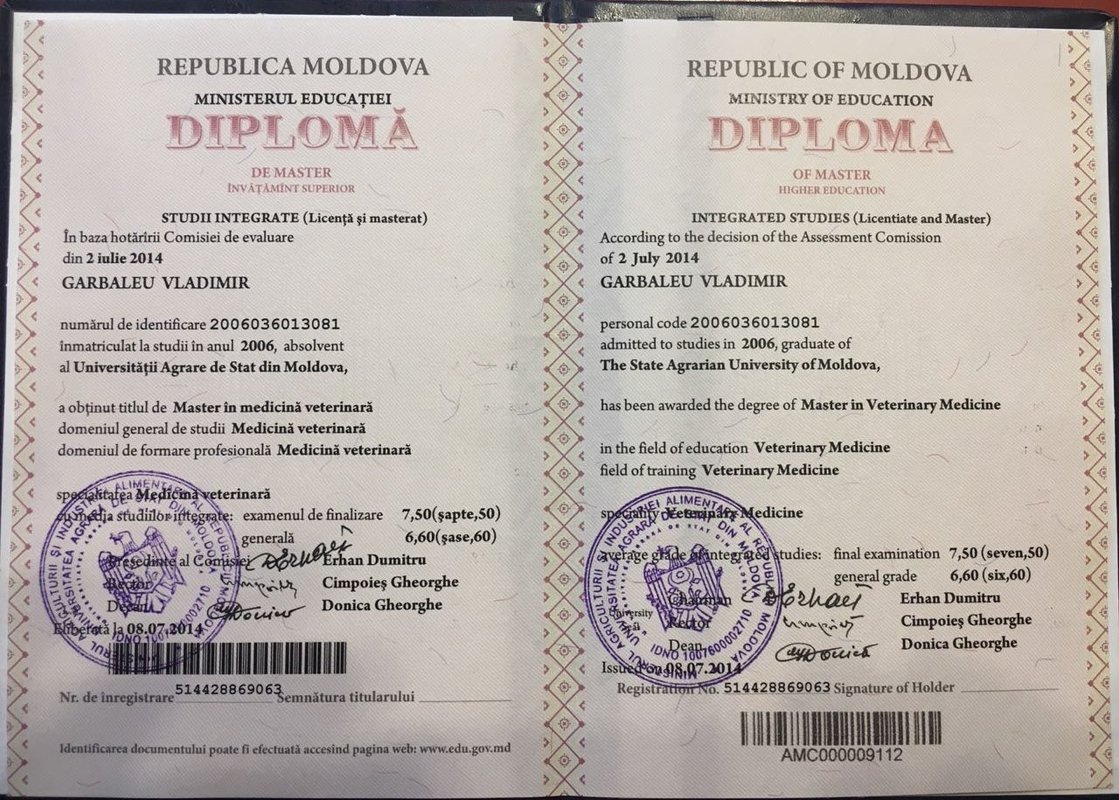 Документ или сертификат