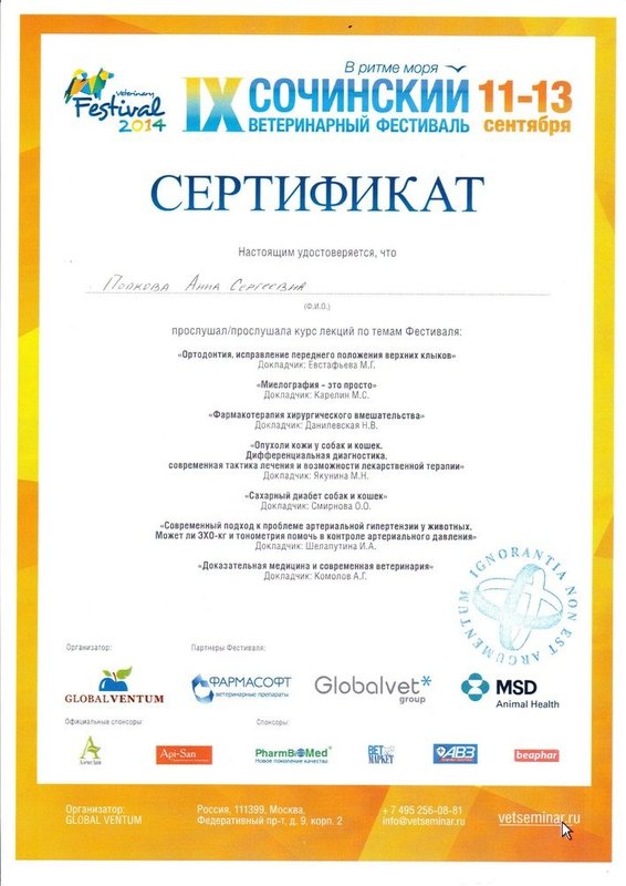 Документ или сертификат