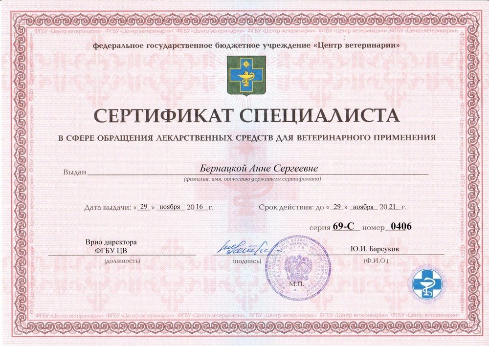 Документ или сертификат