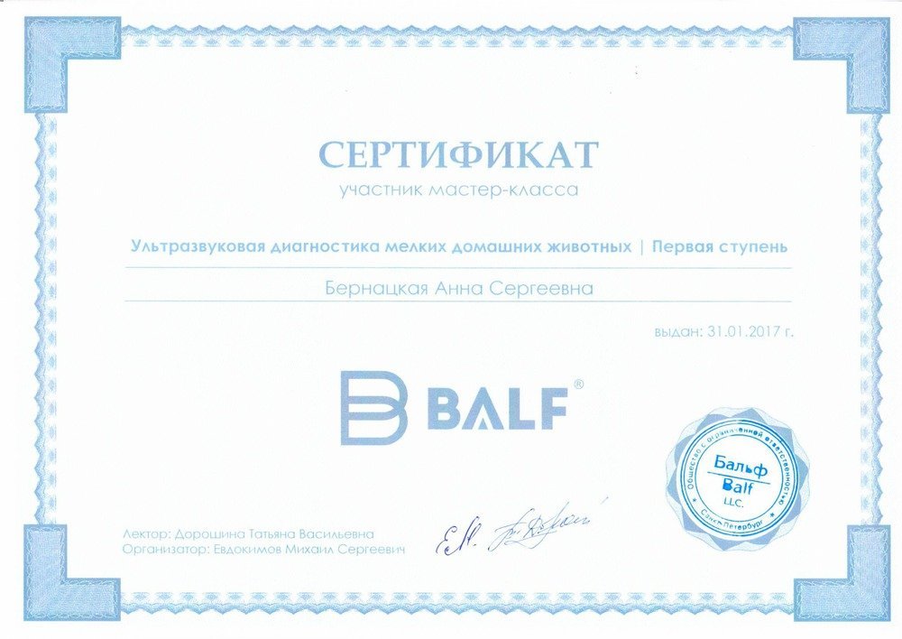 Документ или сертификат