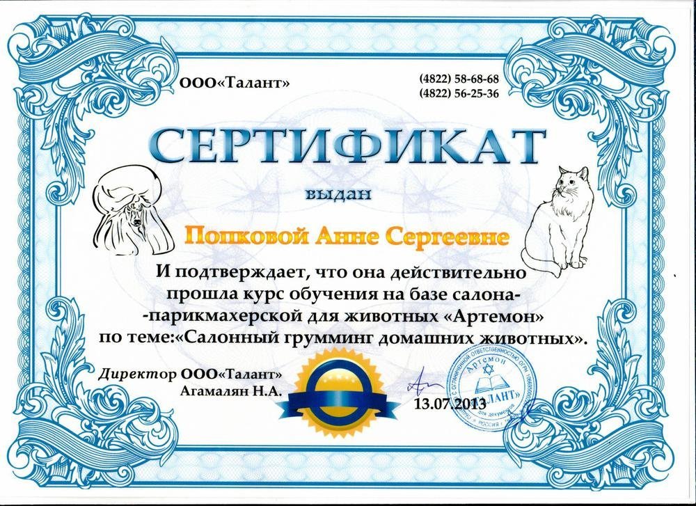 Документ или сертификат