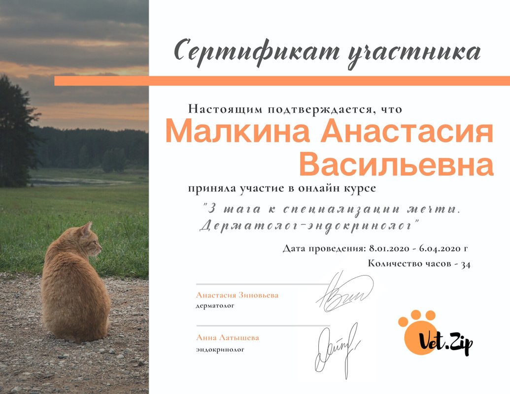 Документ или сертификат