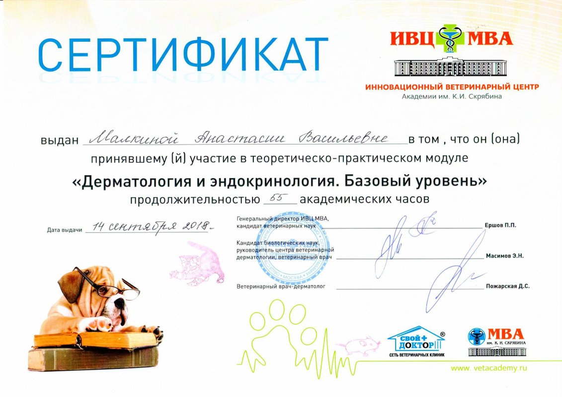 Документ или сертификат