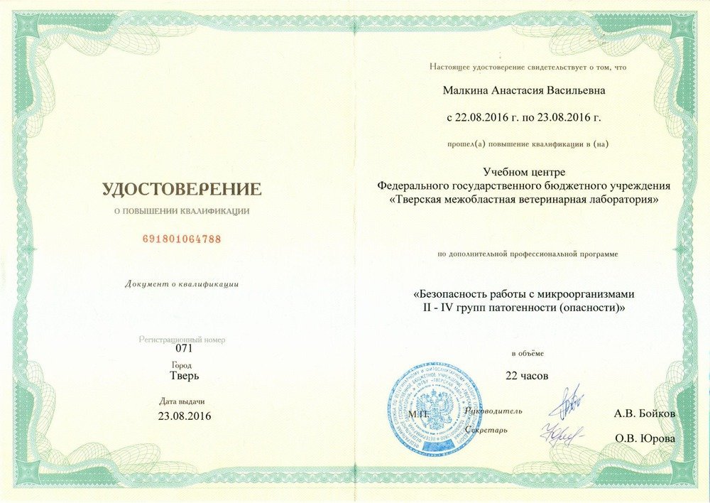 Документ или сертификат