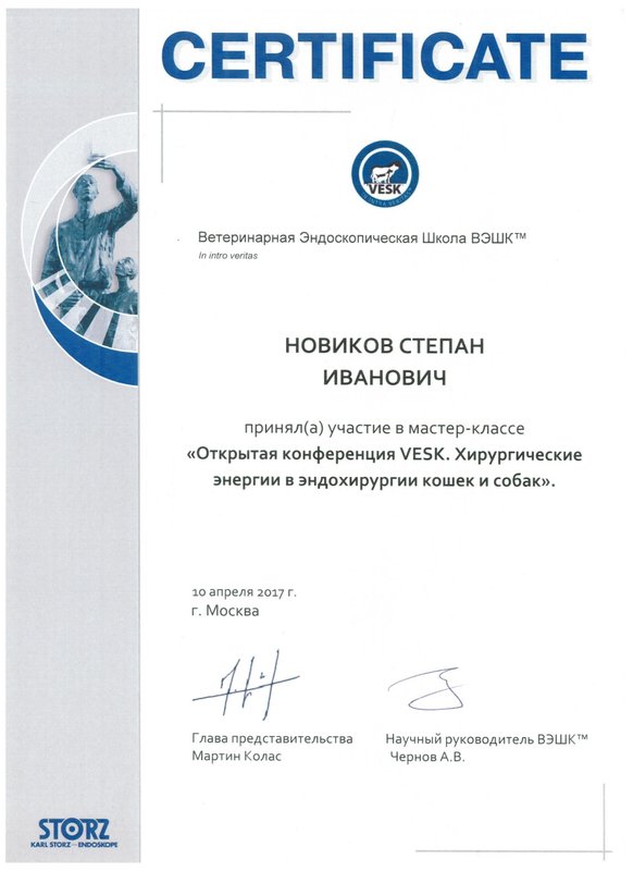 Документ или сертификат