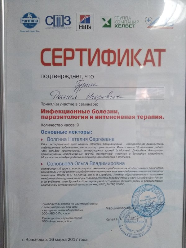 Документ или сертификат