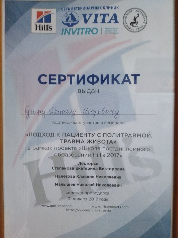 Документ или сертификат