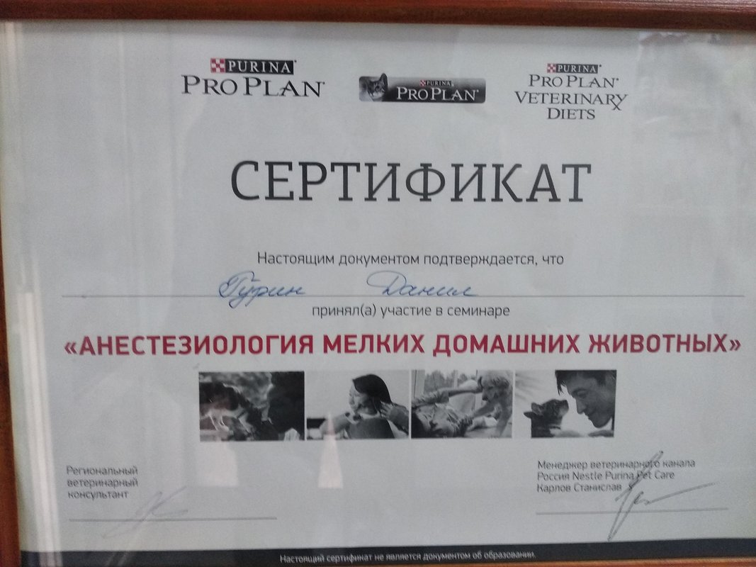 Документ или сертификат
