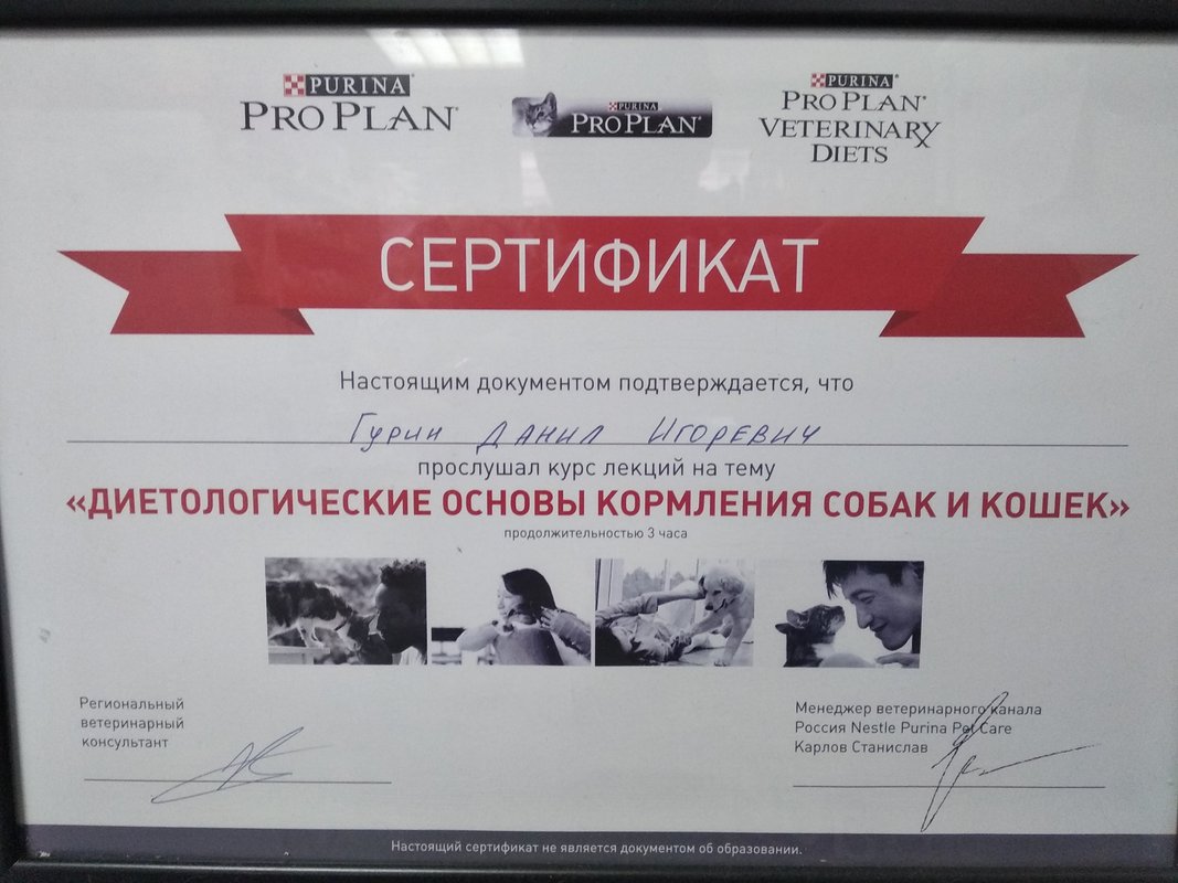 Документ или сертификат