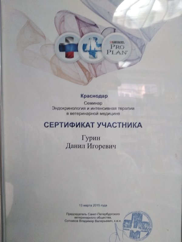 Документ или сертификат
