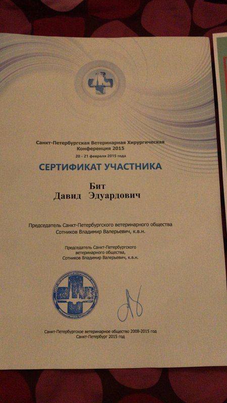 Документ или сертификат