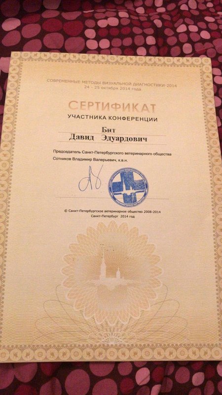 Документ или сертификат