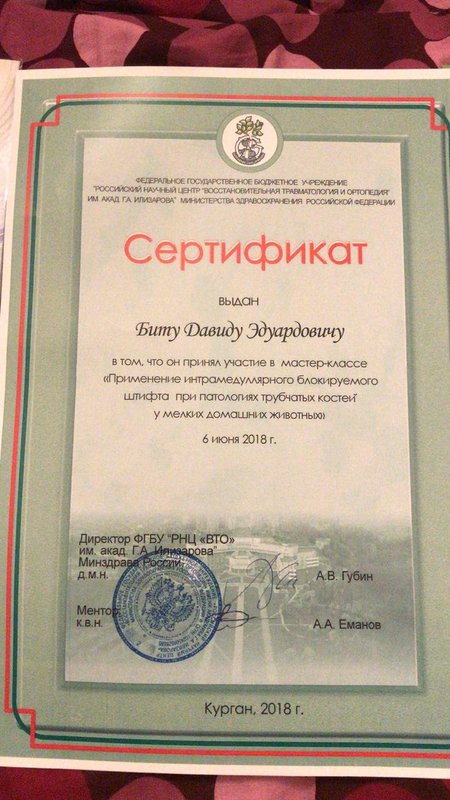 Документ или сертификат