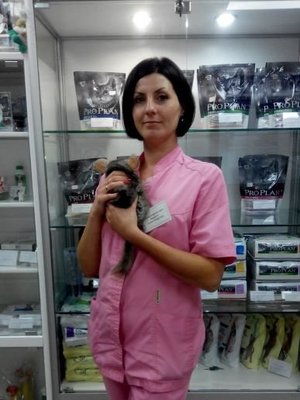 Фото врача Брацило Елена Петровна