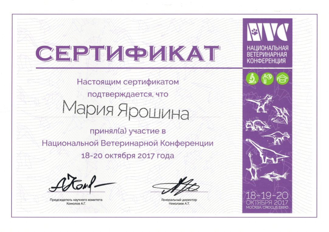 Документ или сертификат