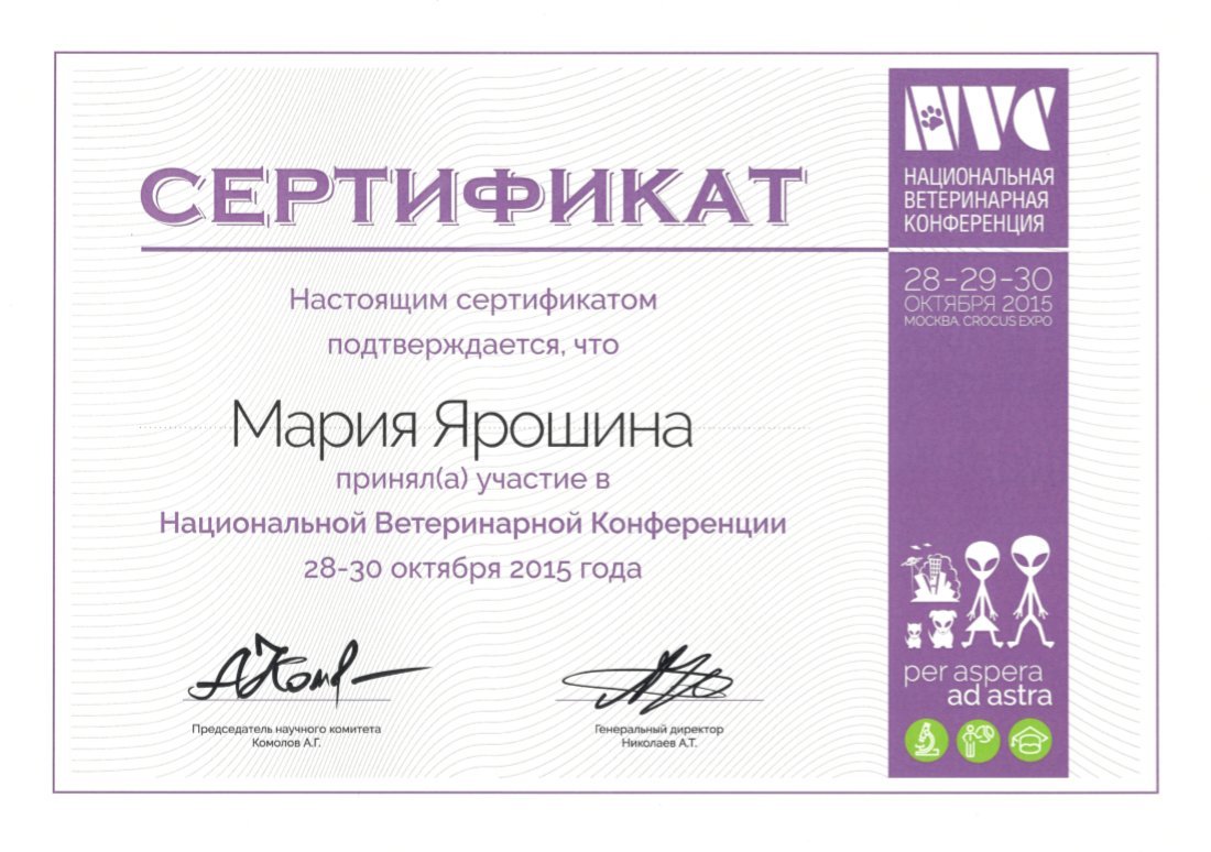 Документ или сертификат
