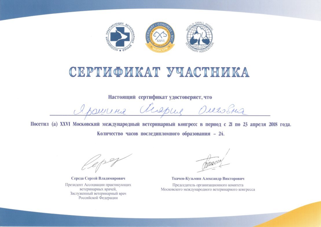 Документ или сертификат