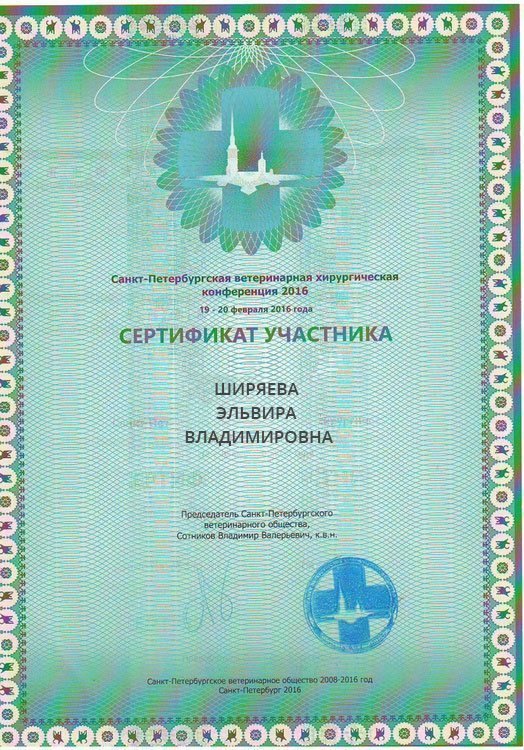 Документ или сертификат