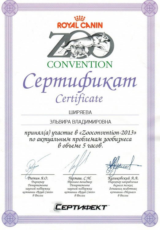 Документ или сертификат