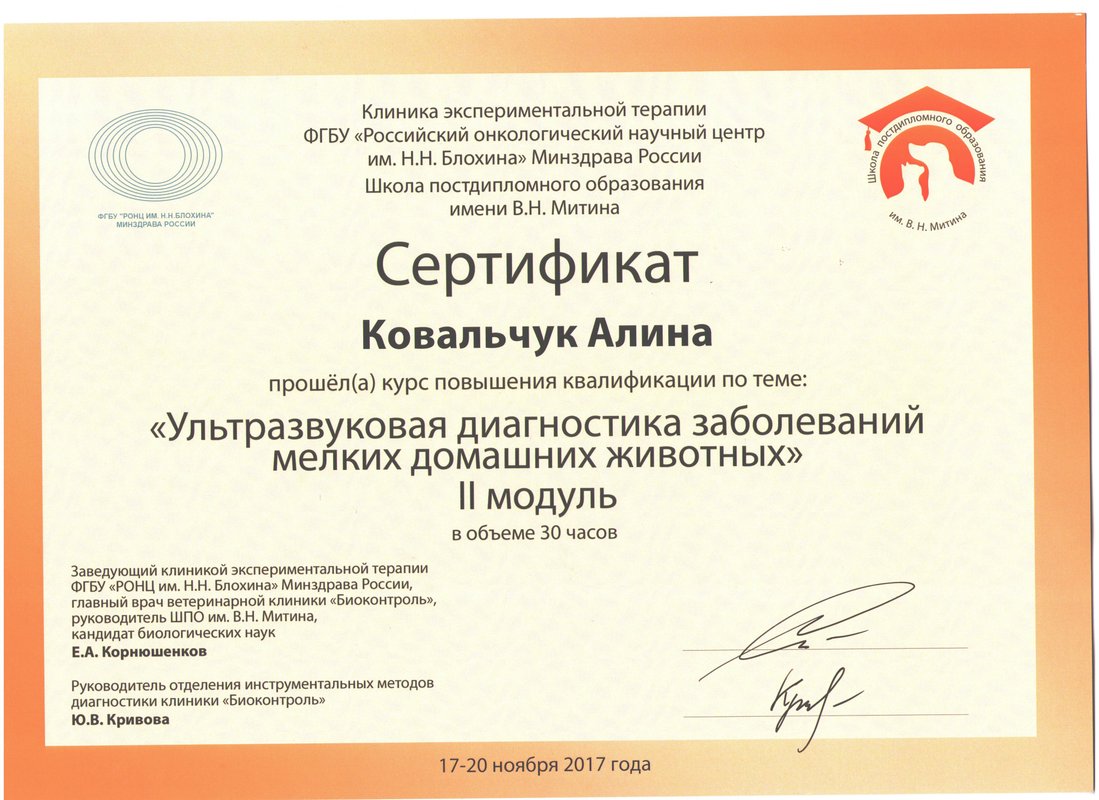 Документ или сертификат