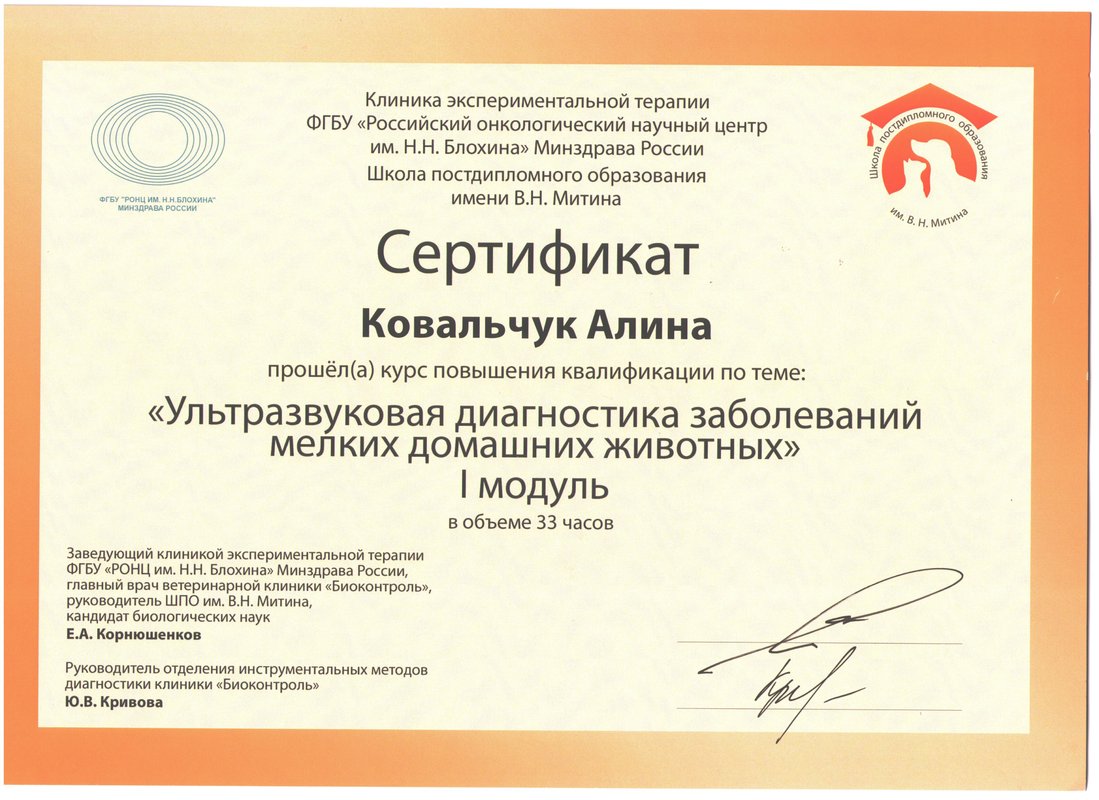 Документ или сертификат