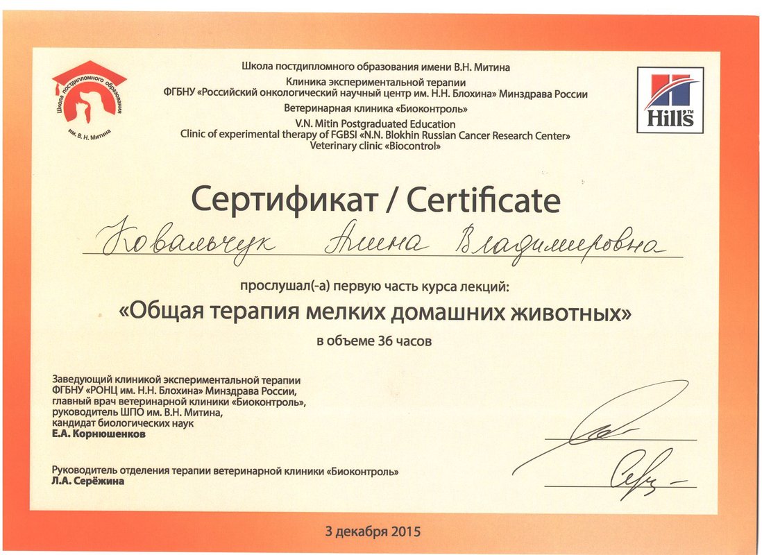Документ или сертификат