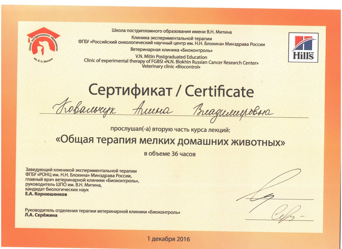 Документ или сертификат
