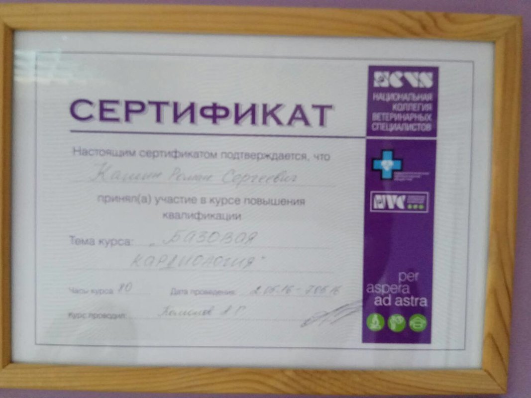 Документ или сертификат