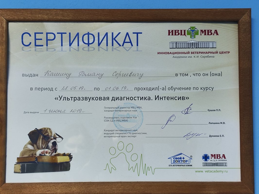 Документ или сертификат