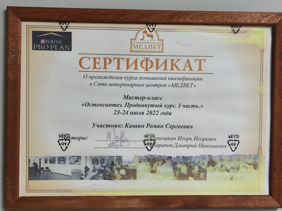 Документ или сертификат