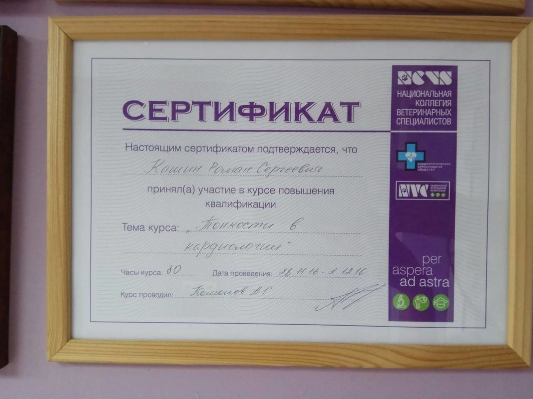 Документ или сертификат