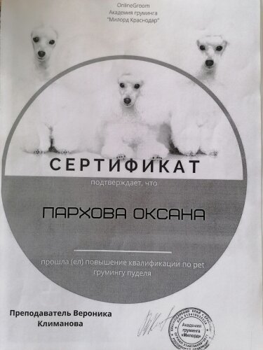 Документ или сертификат