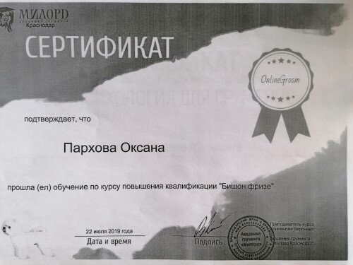 Документ или сертификат