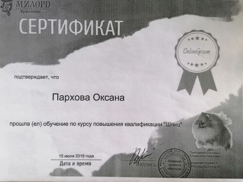 Документ или сертификат