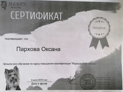 Документ или сертификат