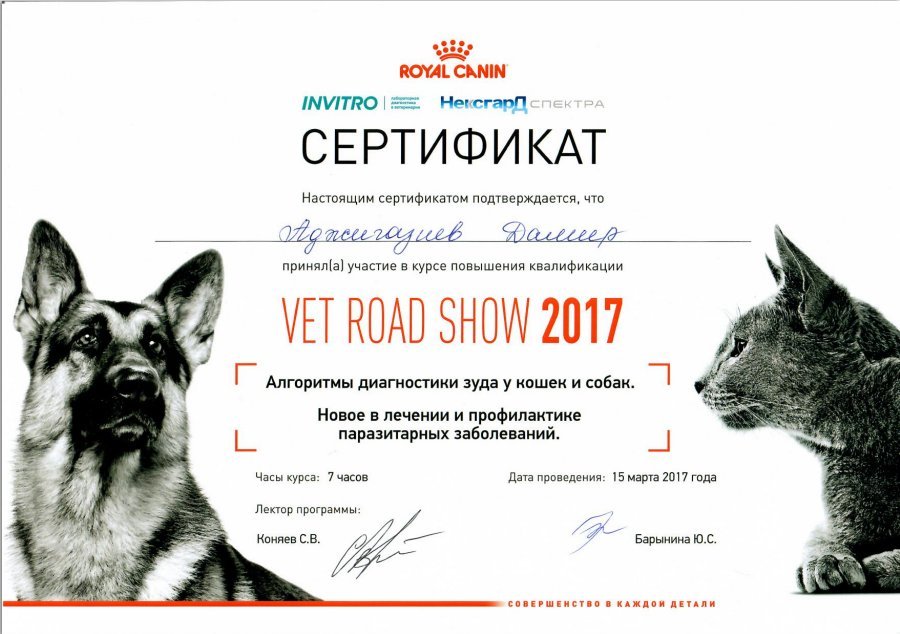 Документ или сертификат