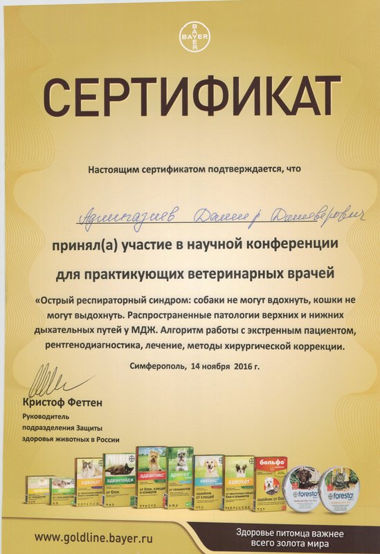 Документ или сертификат