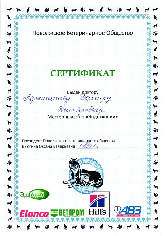 Документ или сертификат