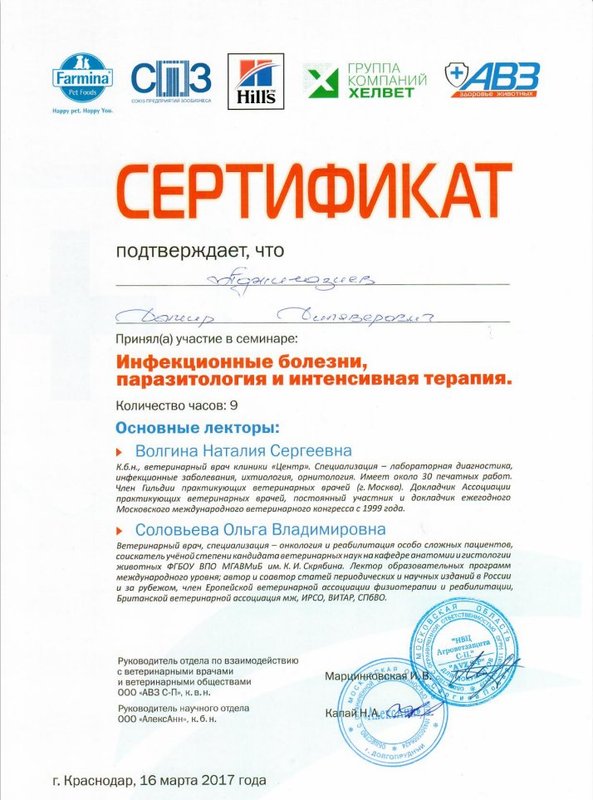 Документ или сертификат