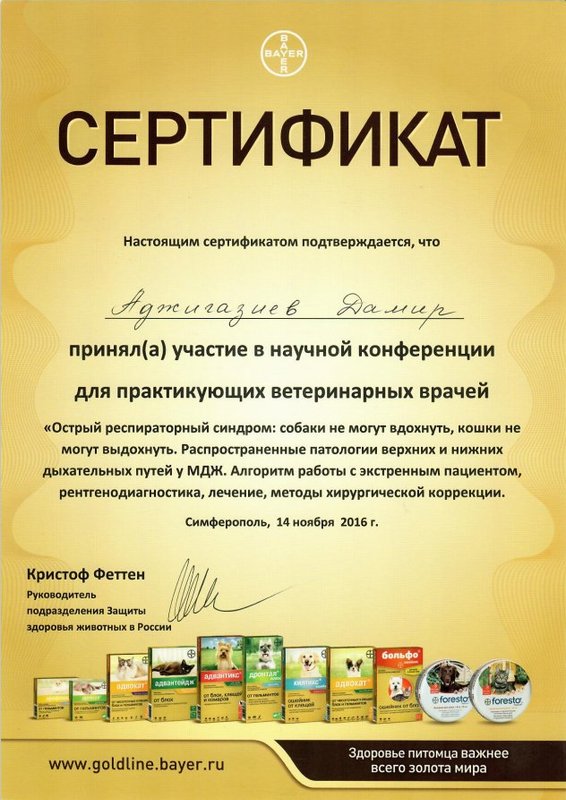 Документ или сертификат